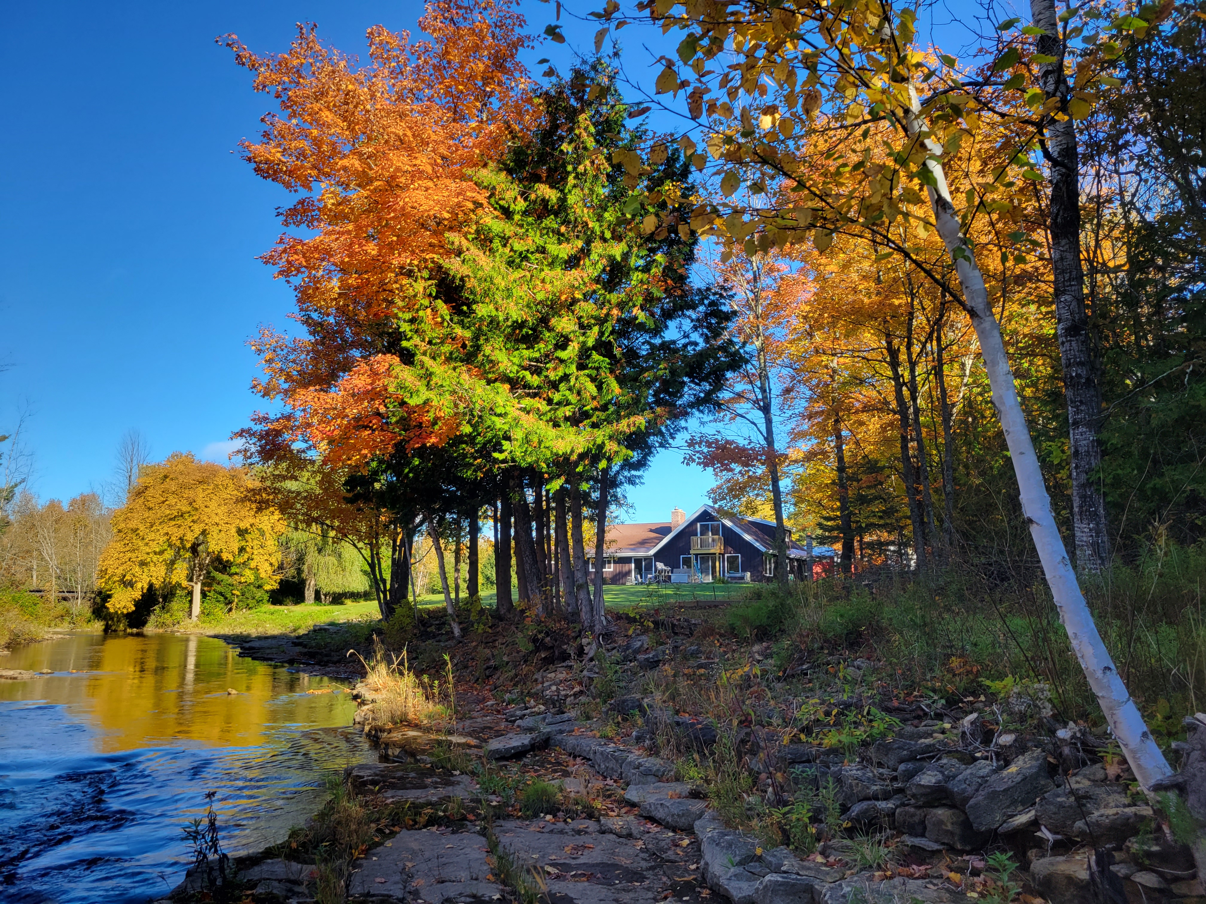 Bearing North Lodge on the Whitefish